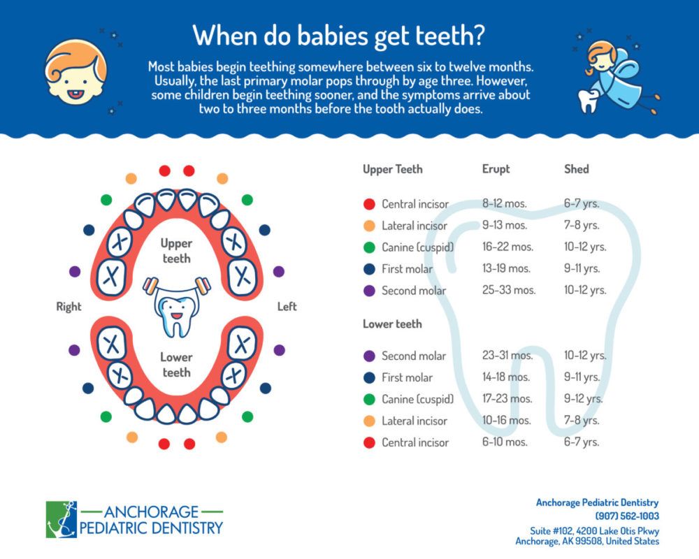 Printable Baby Teething Chart 6 12 Months Until 3 Years Old   Baby Teething Chart 1 1000x800 