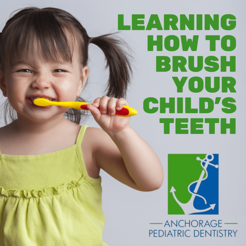 Learning How to Brush Your Child’s Teeth Anchorage Pediatric Dentistry